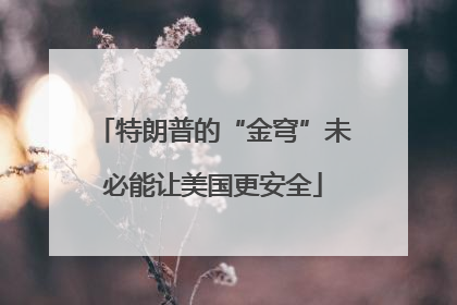 特朗普的“金穹”未必能让美国更安全