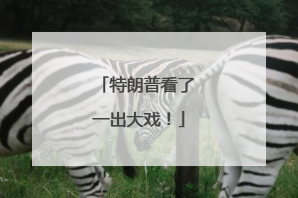 特朗普看了一出大戏！