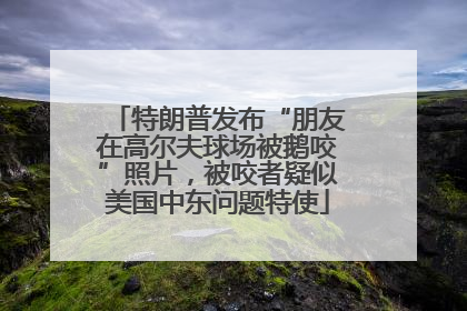 特朗普发布“朋友在高尔夫球场被鹅咬”照片，被咬者疑似美国中东问题特使