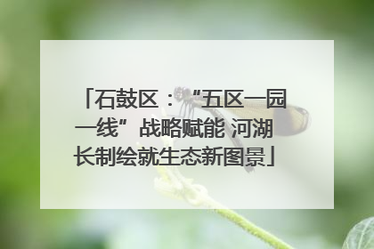石鼓区：“五区一园一线”战略赋能 河湖长制绘就生态新图景
