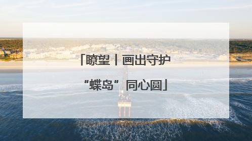 瞭望丨画出守护“蝶岛”同心圆