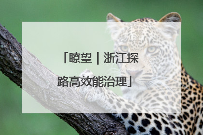 瞭望｜浙江探路高效能治理