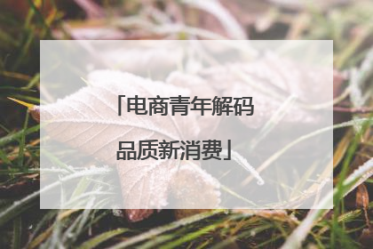 电商青年解码品质新消费