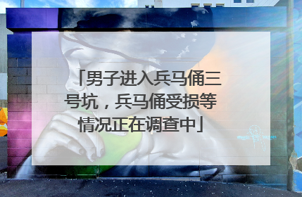 男子进入兵马俑三号坑，兵马俑受损等情况正在调查中