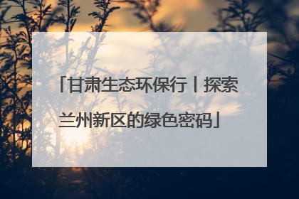 甘肃生态环保行丨探索兰州新区的绿色密码