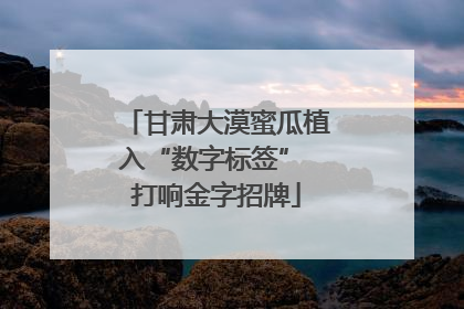 甘肃大漠蜜瓜植入“数字标签” 打响金字招牌