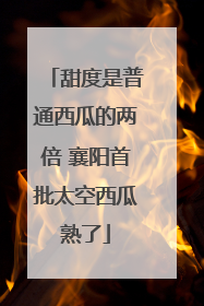 甜度是普通西瓜的两倍 襄阳首批太空西瓜熟了