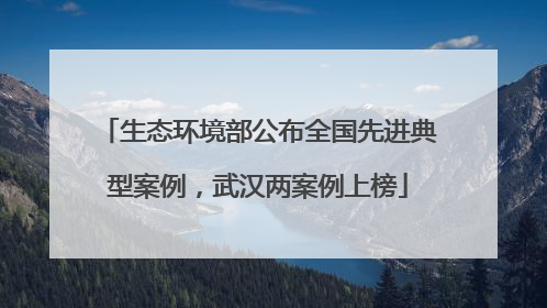 生态环境部公布全国先进典型案例，武汉两案例上榜