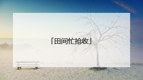 田间忙抢收