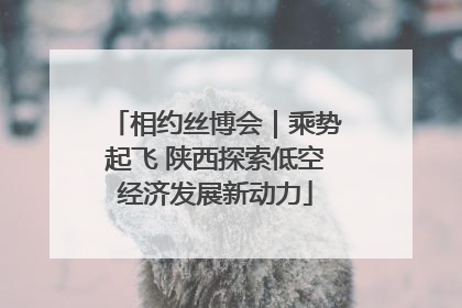 相约丝博会｜乘势起飞 陕西探索低空经济发展新动力