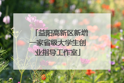 益阳高新区新增一家省级大学生创业指导工作室
