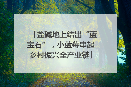 盐碱地上结出“蓝宝石”，小蓝莓串起乡村振兴全产业链