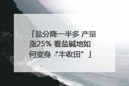 盐分降一半多 产量涨25% 看盐碱地如何变身“丰收田”