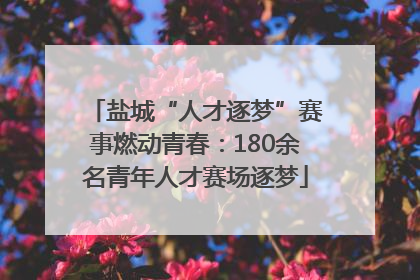 盐城“人才逐梦”赛事燃动青春：180余名青年人才赛场逐梦