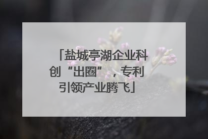 盐城亭湖企业科创“出圈”，专利引领产业腾飞