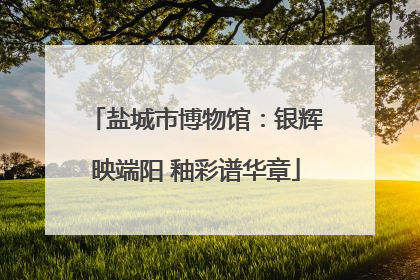 盐城市博物馆：银辉映端阳 釉彩谱华章