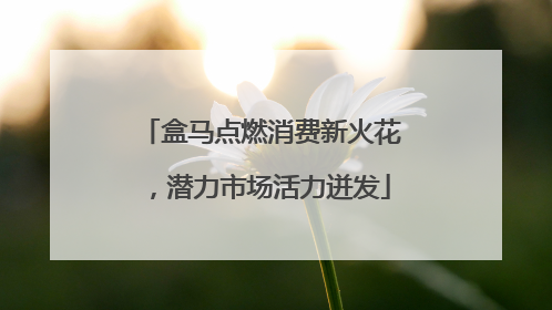 盒马点燃消费新火花，潜力市场活力迸发