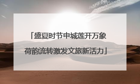 盛夏时节申城莲开万象 荷韵流转激发文旅新活力