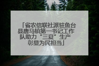 省农信联社派驻鱼台县唐马镇第一书记工作队助力“三夏”生产 彰显为民担当