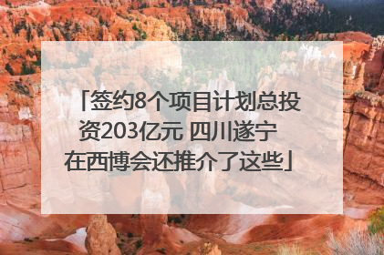 签约8个项目计划总投资203亿元 四川遂宁在西博会还推介了这些