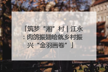 筑梦“湘”村｜江永：肉鸽振翅绘就乡村振兴“金羽画卷”
