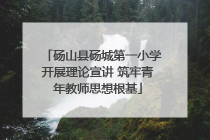 砀山县砀城第一小学开展理论宣讲 筑牢青年教师思想根基