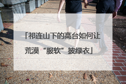 祁连山下的高台如何让荒漠“服软”披绿衣