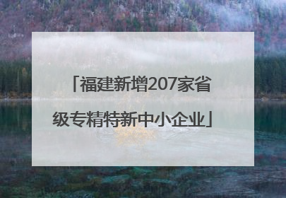 福建新增207家省级专精特新中小企业