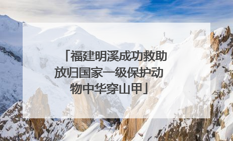 福建明溪成功救助放归国家一级保护动物中华穿山甲