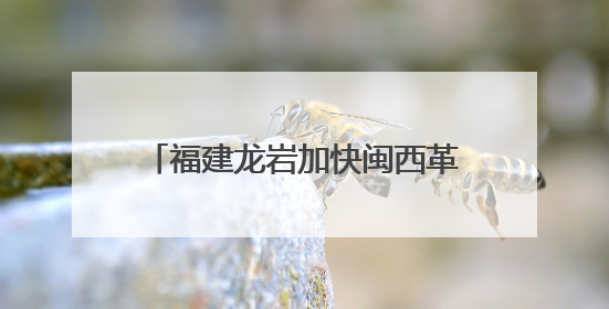 福建龙岩加快闽西革命老区高质量发展