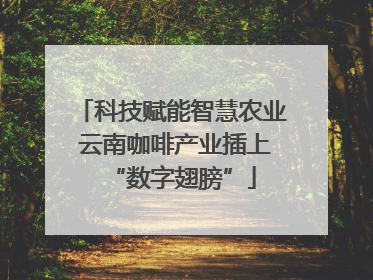 科技赋能智慧农业 云南咖啡产业插上“数字翅膀”