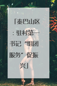 秦巴山区：驻村第一书记“组团服务”促振兴
