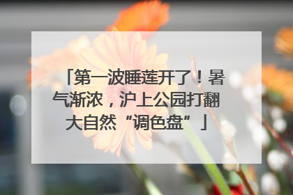 第一波睡莲开了！暑气渐浓，沪上公园打翻大自然“调色盘”