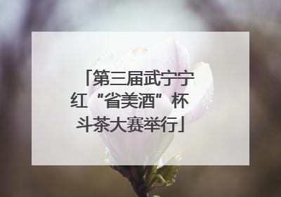第三届武宁宁红“省美酒”杯斗茶大赛举行