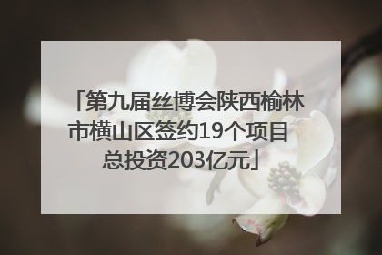 第九届丝博会陕西榆林市横山区签约19个项目 总投资203亿元