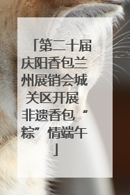 第二十届庆阳香包兰州展销会城关区开展 非遗香包“粽”情端午
