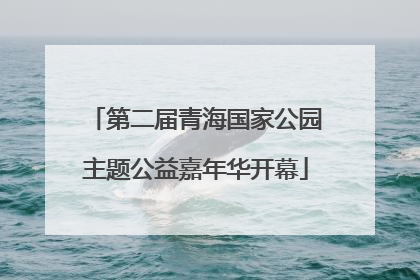 第二届青海国家公园主题公益嘉年华开幕