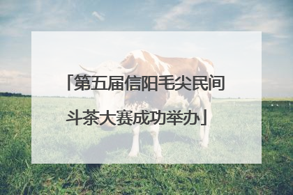第五届信阳毛尖民间斗茶大赛成功举办