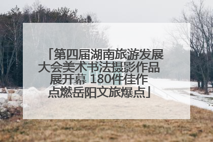 第四届湖南旅游发展大会美术书法摄影作品展开幕 180件佳作点燃岳阳文旅爆点