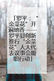 罗平：“金菜花”开遍地香——罗平县创新推行“金菜花”人大代表议事会履职行动
