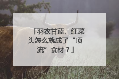 羽衣甘蓝、红菜头怎么就成了“顶流”食材？