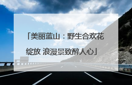 美丽蓝山：野生合欢花绽放 浪漫景致醉人心