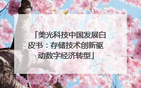 美光科技中国发展白皮书：存储技术创新驱动数字经济转型
