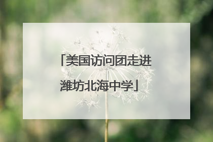 美国访问团走进潍坊北海中学