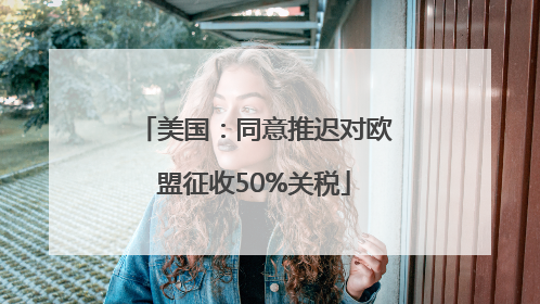 美国：同意推迟对欧盟征收50%关税