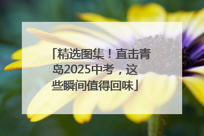 精选图集！直击青岛2025中考，这些瞬间值得回味