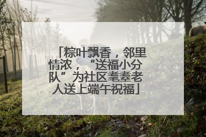 粽叶飘香，邻里情浓，“送福小分队”为社区耄耋老人送上端午祝福