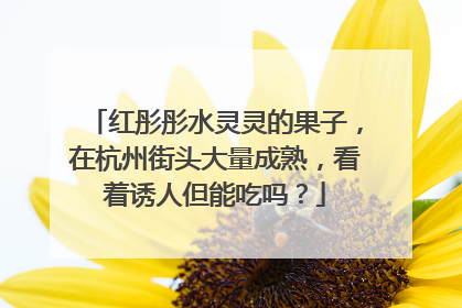 红彤彤水灵灵的果子，在杭州街头大量成熟，看着诱人但能吃吗？