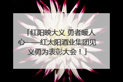 红阳映大义 勇者暖人心——红太阳酒业集团见义勇为表彰大会！