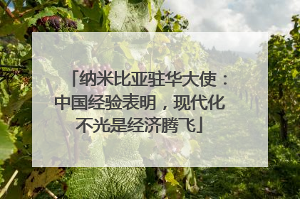 纳米比亚驻华大使：中国经验表明，现代化不光是经济腾飞